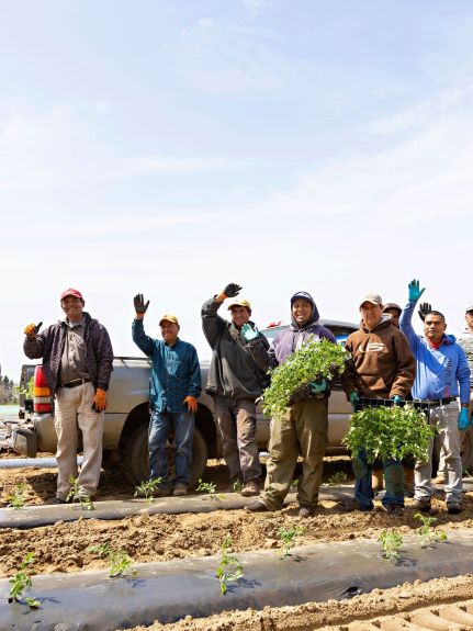 Introduction to Inclusion, Diversity, Equity and Accessibility in Canadian Agriculture
